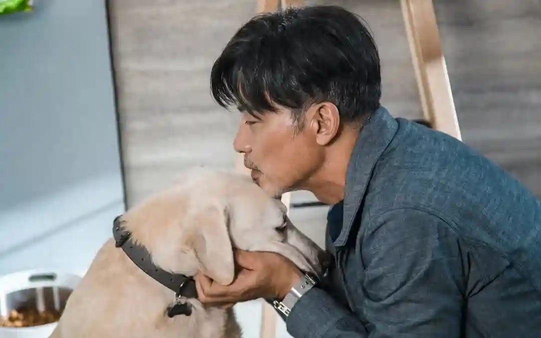 上海一盲人崩溃！申请导盲犬被拒绝，只因对门怕狗……