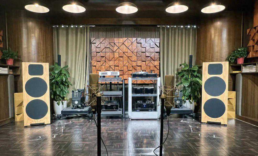 总有一款能迷倒你——德国Spatial Europe（音乐空间）障板音箱