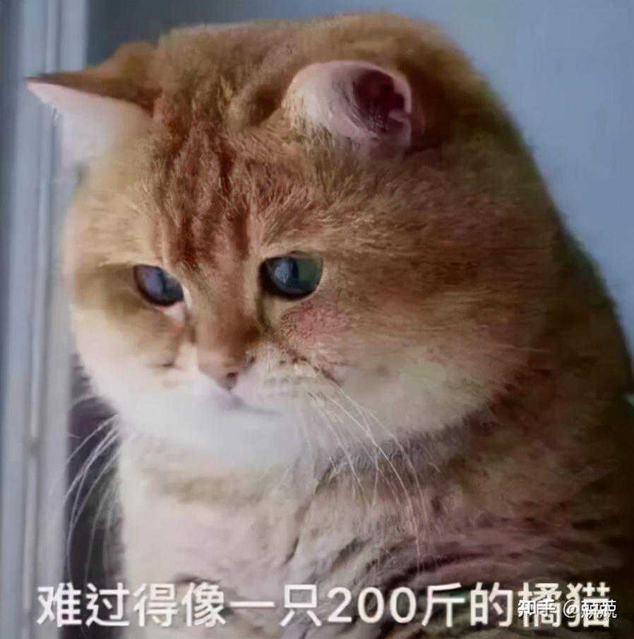 为什么我会说你需要一个电钻？方便好用的威克士WE212测评