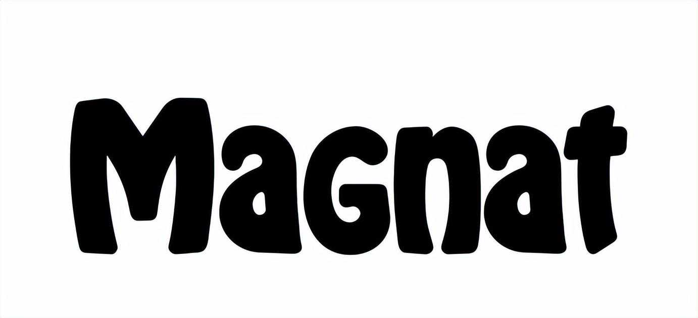 德系匠心，可盐可甜——Magnat功放合集