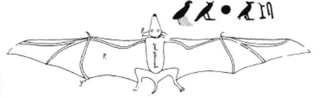 暗黑医疗：古代医学中的蝙蝠入药