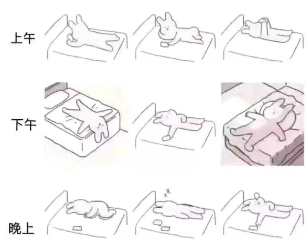 在家憋坏的你，请看这里！