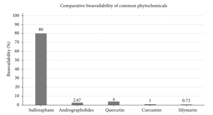萝卜硫素（SFN）科普（十一）