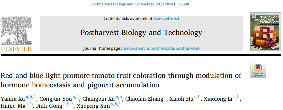 红光和蓝光通过调节激素稳态和色素积累来促进番茄果实的着色