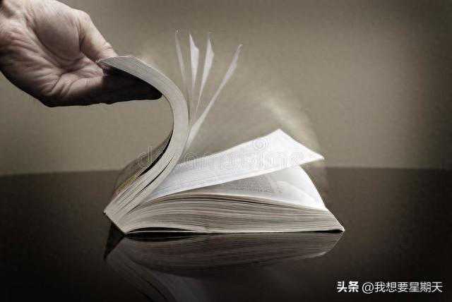 段永平投资问答录——步步高产品（OPPO 、vivo、小天才）