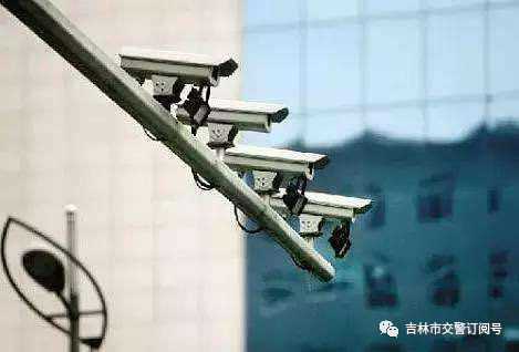 不礼让斑马线车辆名单（第七批）