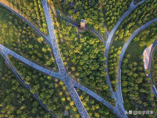 “质子治疗用于儿童颅咽管瘤的单臂II期临床试验结果”