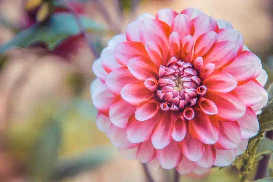 36句绝美时光诗词，令人心醉亦心碎，最适合发朋友圈做签名