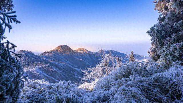 醺醺半醉眼前花，且把前诗整理发！〖闲吟二十首〗