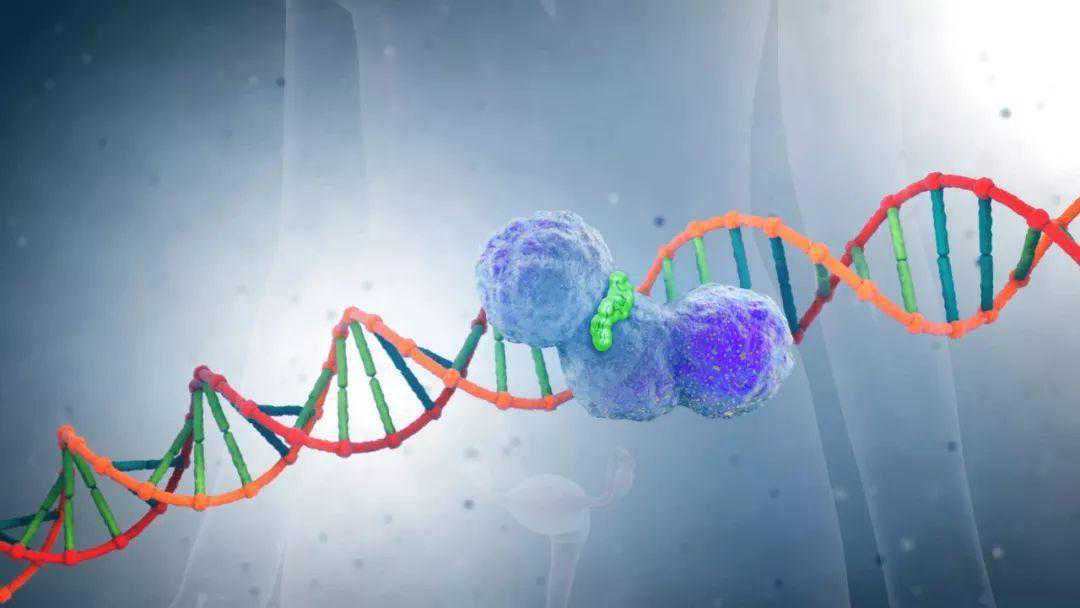 ESMO重磅：合成致死再发威！PARP抑制剂奥拉帕利两项重要试验告捷，适应症范围和治疗深度继续扩大 | 临床大发现