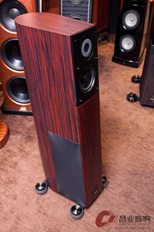 德国飞星 Audio Physic Virgo 25 Plus 原装进口落地箱