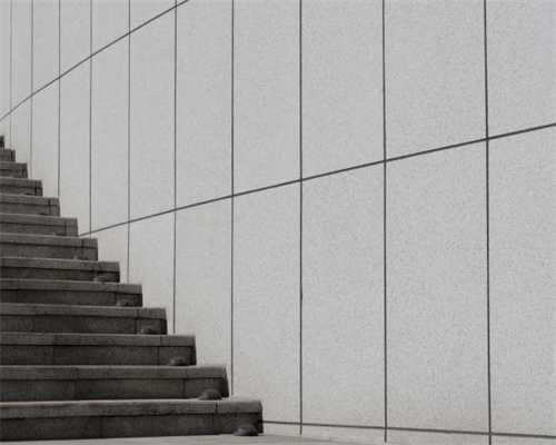 国内分布的23种猴子介绍