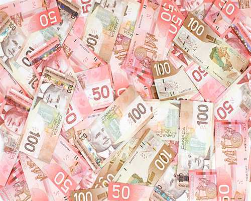 如果被狗咬伤怎么办？狂犬病防治知识问答值得收藏