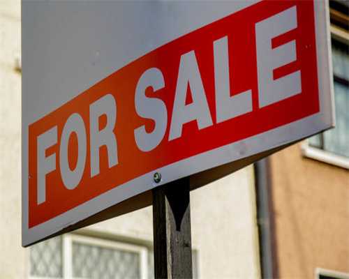 萝卜浑身是宝，叶子别当垃圾扔掉，所含营养真不少，不会吃可惜了