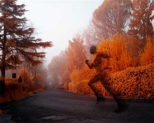 这种虫子，毒液堪比硫酸！飞到身上千万别拍
