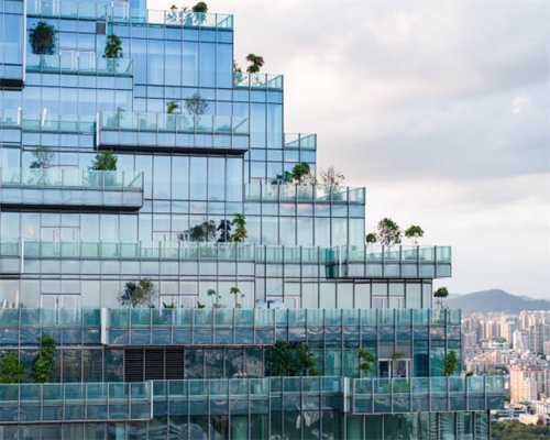 靶向药分两大类，这类靶向药没有基因突变也有效果