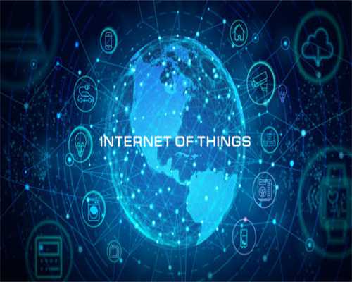 白花蛇草水“难喝”？来了解它背后的“宝藏”植物——白花蛇舌草