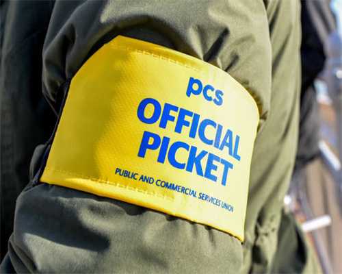 红火蚁频繁出没 杀伤力有多大？防范要注意