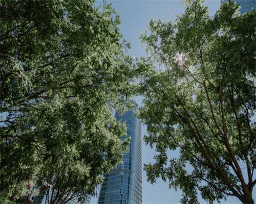 长春汽博会汽车后市场展区30万豪礼免费派发啦！