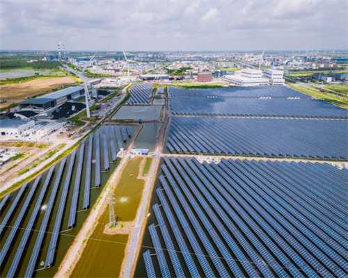 腊汁肉夹馍的完整配方制作技术，全程不藏私，快收藏