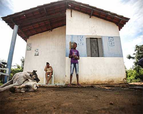 有着活体城堡之称的石鳖，它的眼睛居然是石头做的