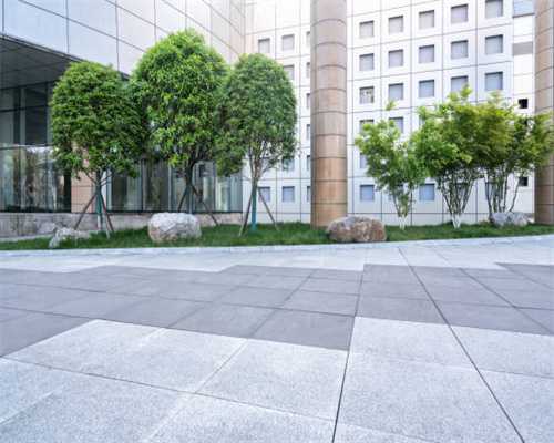 还剩3天！捕猎野猪数量仅完成38%，宁夏西吉狩猎队吐槽“太难”，入不敷出