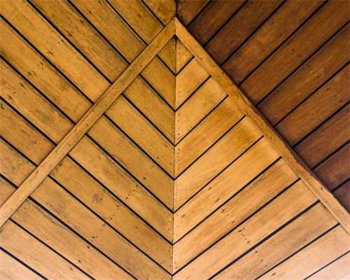 二分髌骨的解剖及影像表现