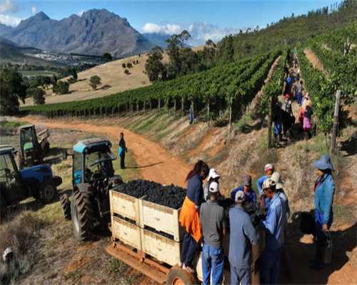 带你赏析世界上最昂贵的十大音响