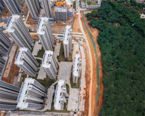 南方名龟207：又见龟友煮龟，乌龟冬天加温，主打一个安全