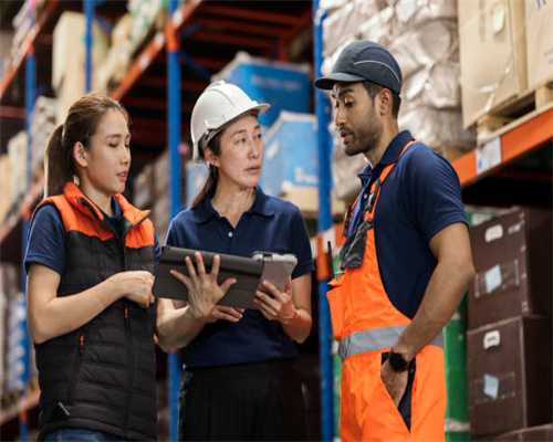 扶芳藤丨一种能爬藤的“冬青”，它的“脚”，长成这样，太神奇了