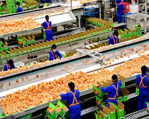 暴雨屋面积水怎么办？1个矿泉水瓶就解决啦，这藏着个高考知识点