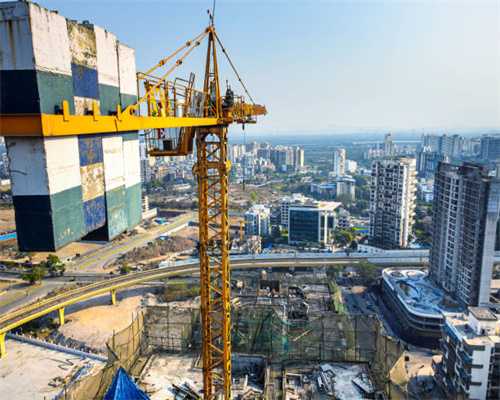 吕中：哪些中医药可以提高人体免疫力？