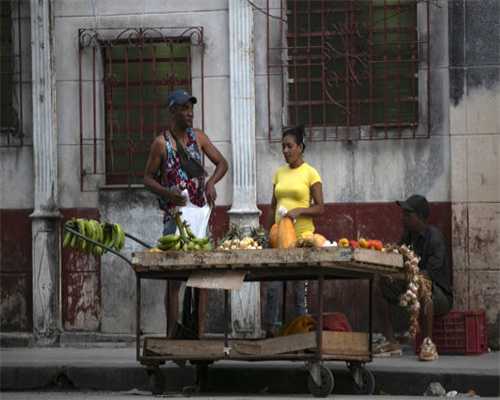 猪猪身上的美味宝藏：部位解析与烹饪秘籍