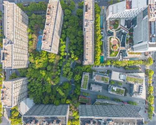 真相｜新疆的人口结构为何如此复杂？